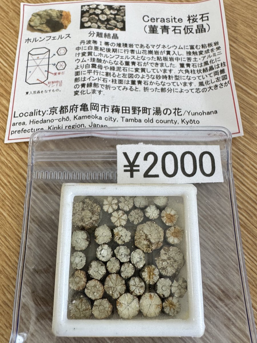 なしろ(エビフリャー🦐) tweet media