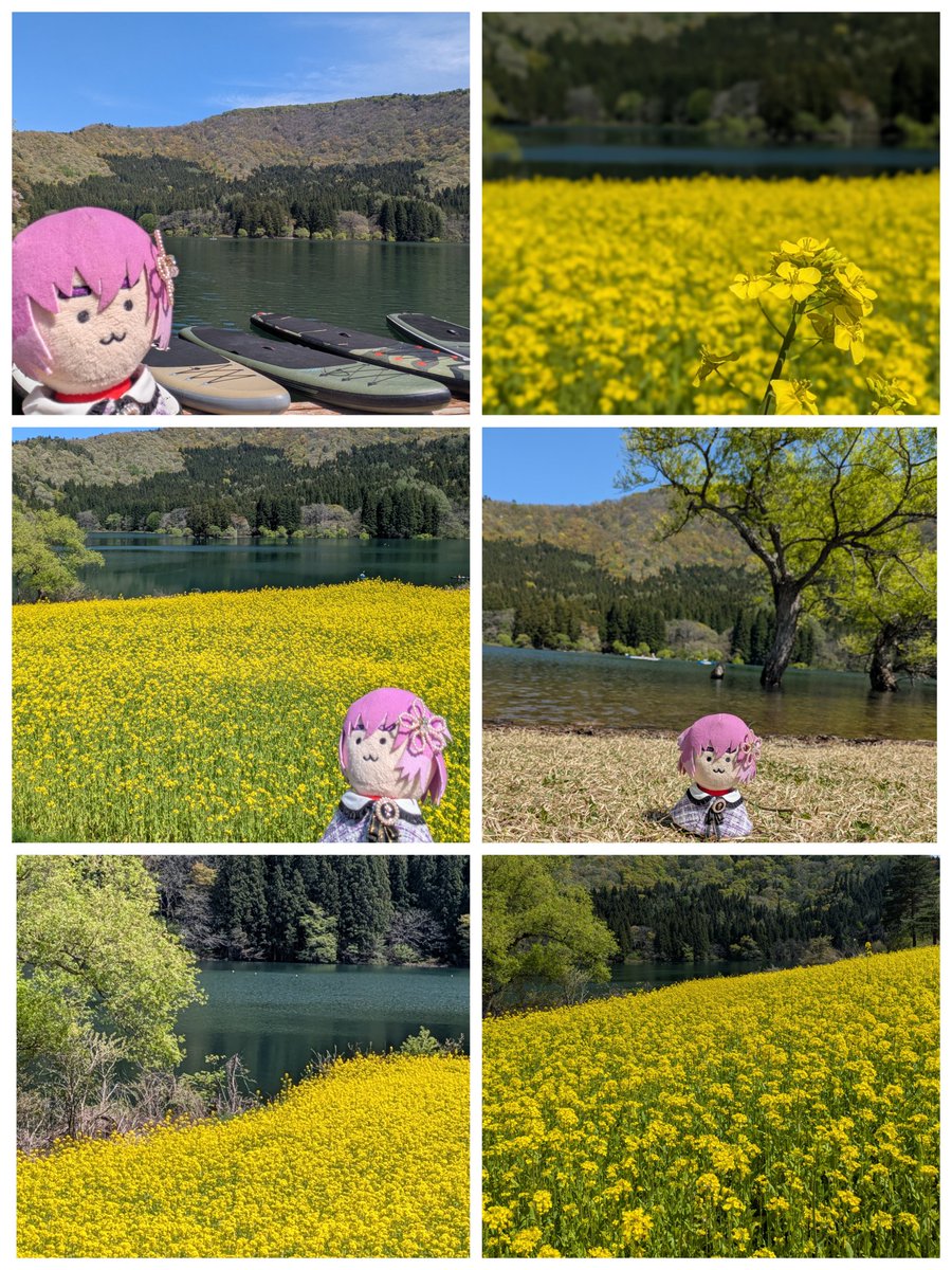 栗きんとん tweet media