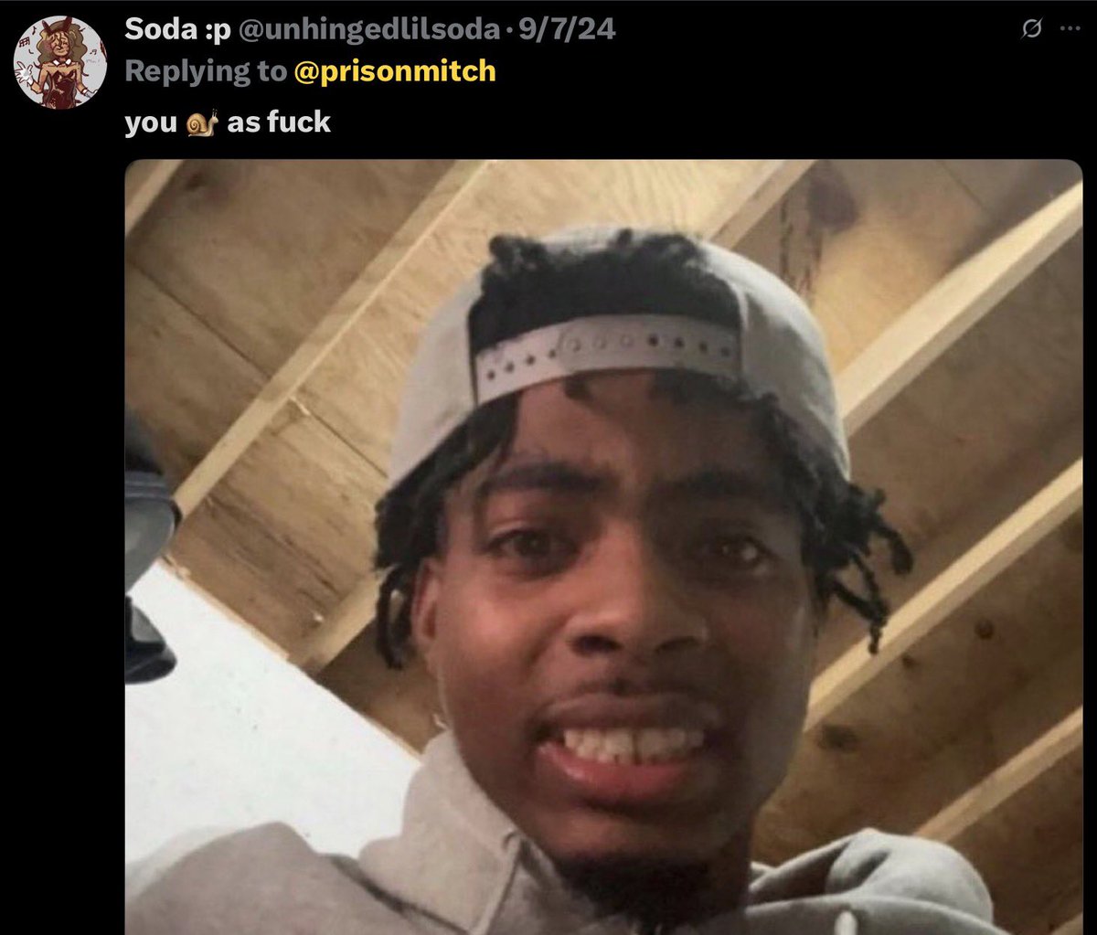 twinkcel tweet media