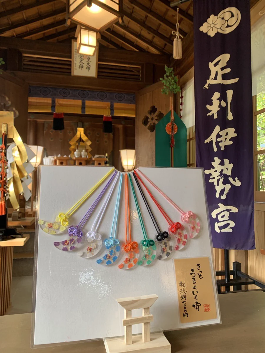 活動歴および当時の関連ビジュアル記録