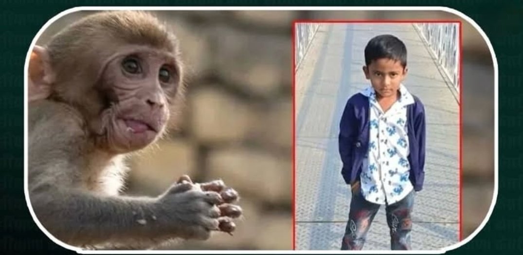 Pushpraj sharma tweet media