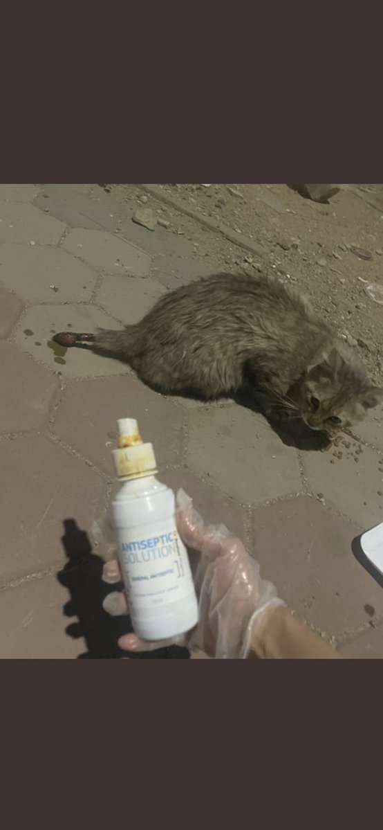 العنزي 🇸🇦 moon🇰🇷🇯🇵 tweet media