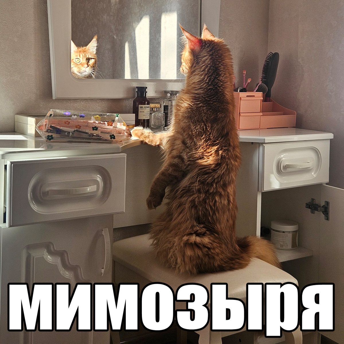 <a href="/alkokiten/">оплата не прошла</a>