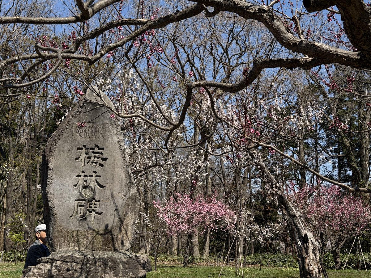 ペンギンに埋もれたい tweet media