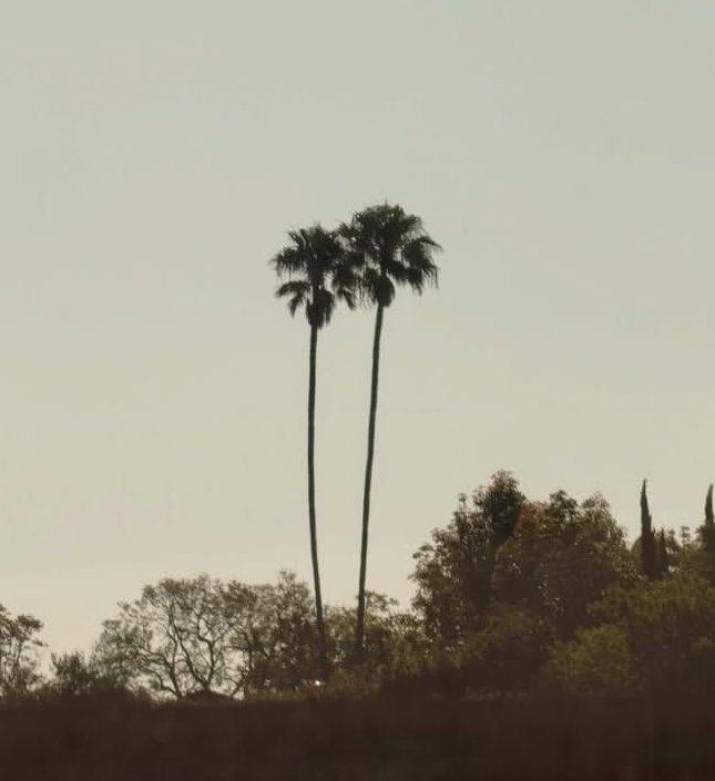 ‎𐙚 เป้นเด็กปีสอง ✩ ⋆ แฟนพี่แบม ྀི ⊹ tweet media