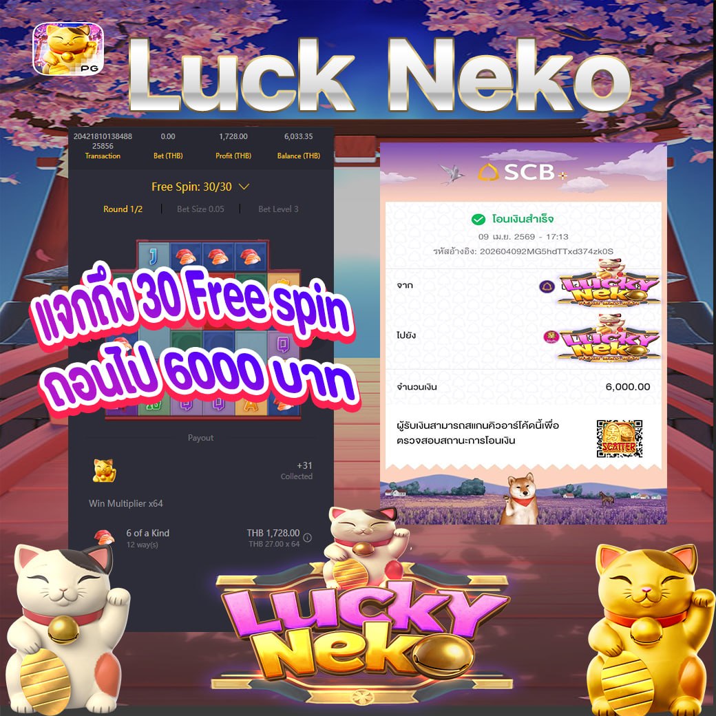 VECA999 tweet media
