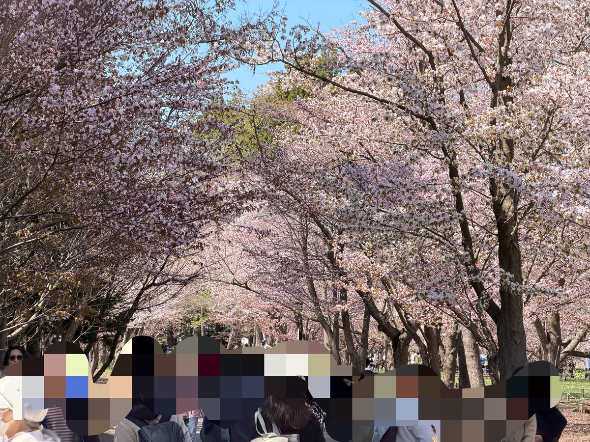 ペンギンに埋もれたい tweet media