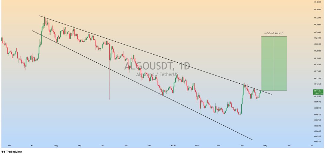 Quantam Zephyr 🔶 tweet media