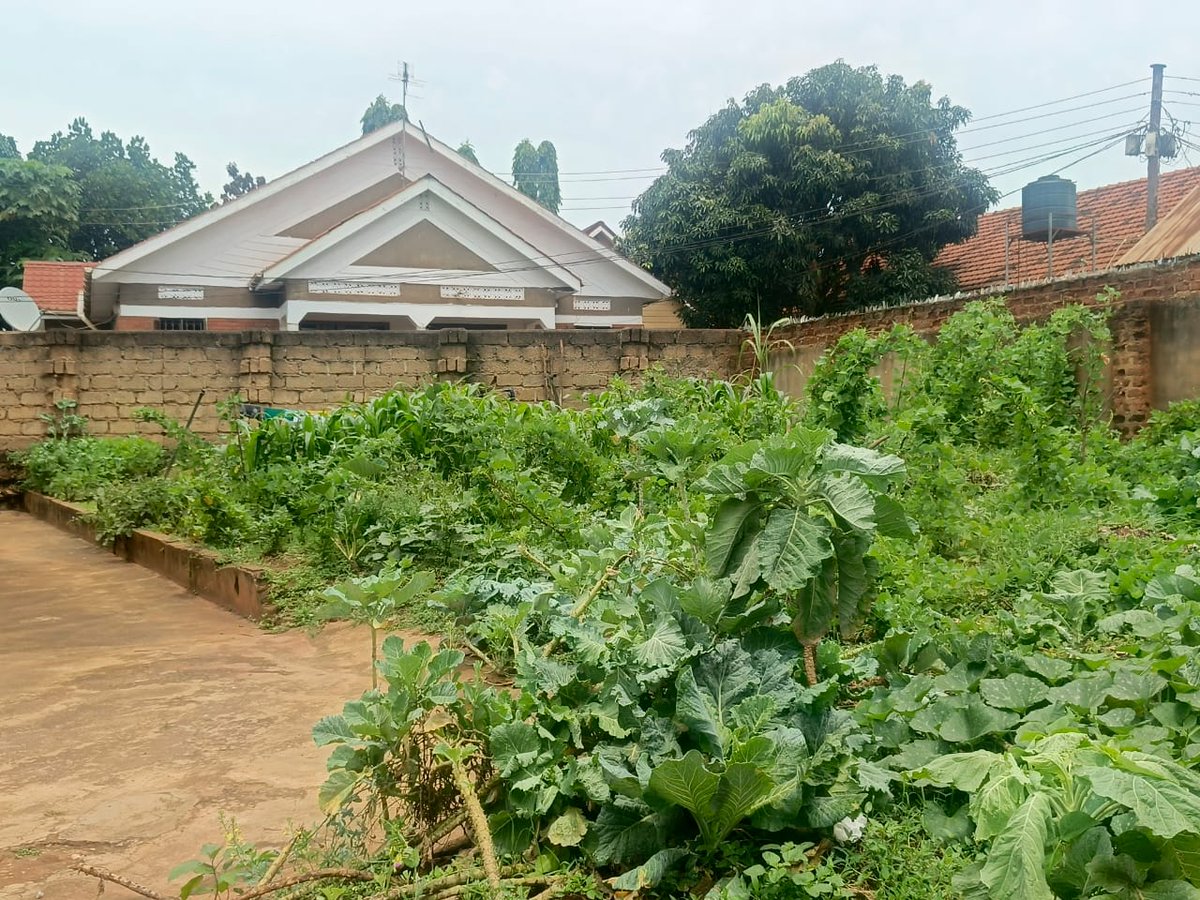 Kampala Metropolitan Properties tweet media