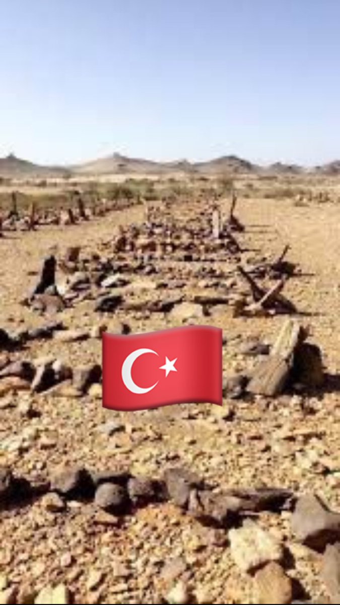 🇸🇦Mohamed Alanzi tweet media