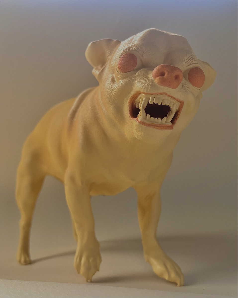 Kenichi Nakaya tweet media