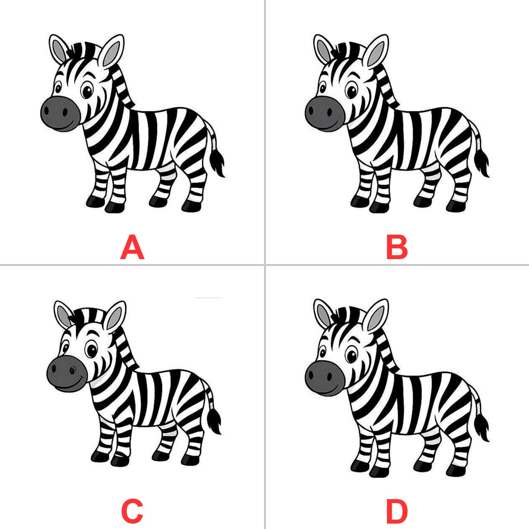 MindMazeX tweet media