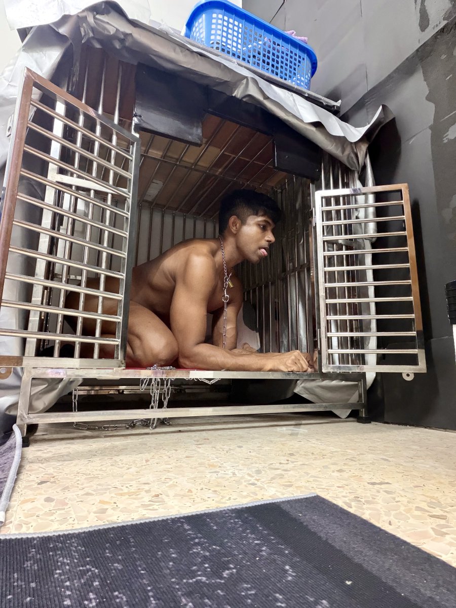 Caged Boy Coco tweet media