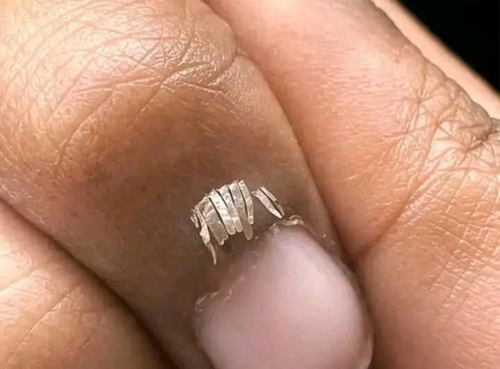 BOSS👑 tweet media