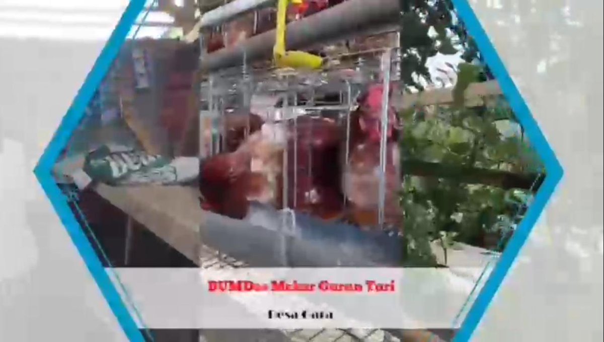 BUMDesa Desa Gara, Satarmese, Manggarai menetapkan 3 jenis Ketapang, Holtikultura, Produksi Tempe, Ayam Petelur untuk meningkatkan Pendapatan 

#KementerianDesaPDT
#BPSDMKementerianDesaPDT
#BUMDesaDorongUsahaPetani
#DesaGaraSatarmeseDukungBUMDesa
#KerjaPendampingDssaBerdampak