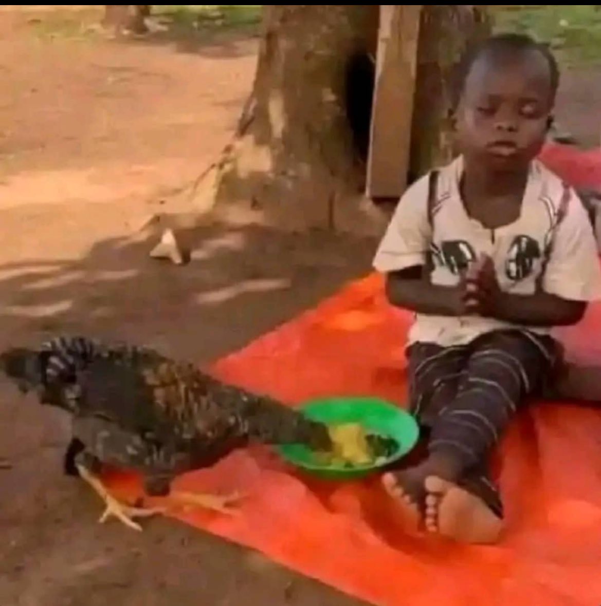 Hoska Thee Pharmacist.💊 tweet media