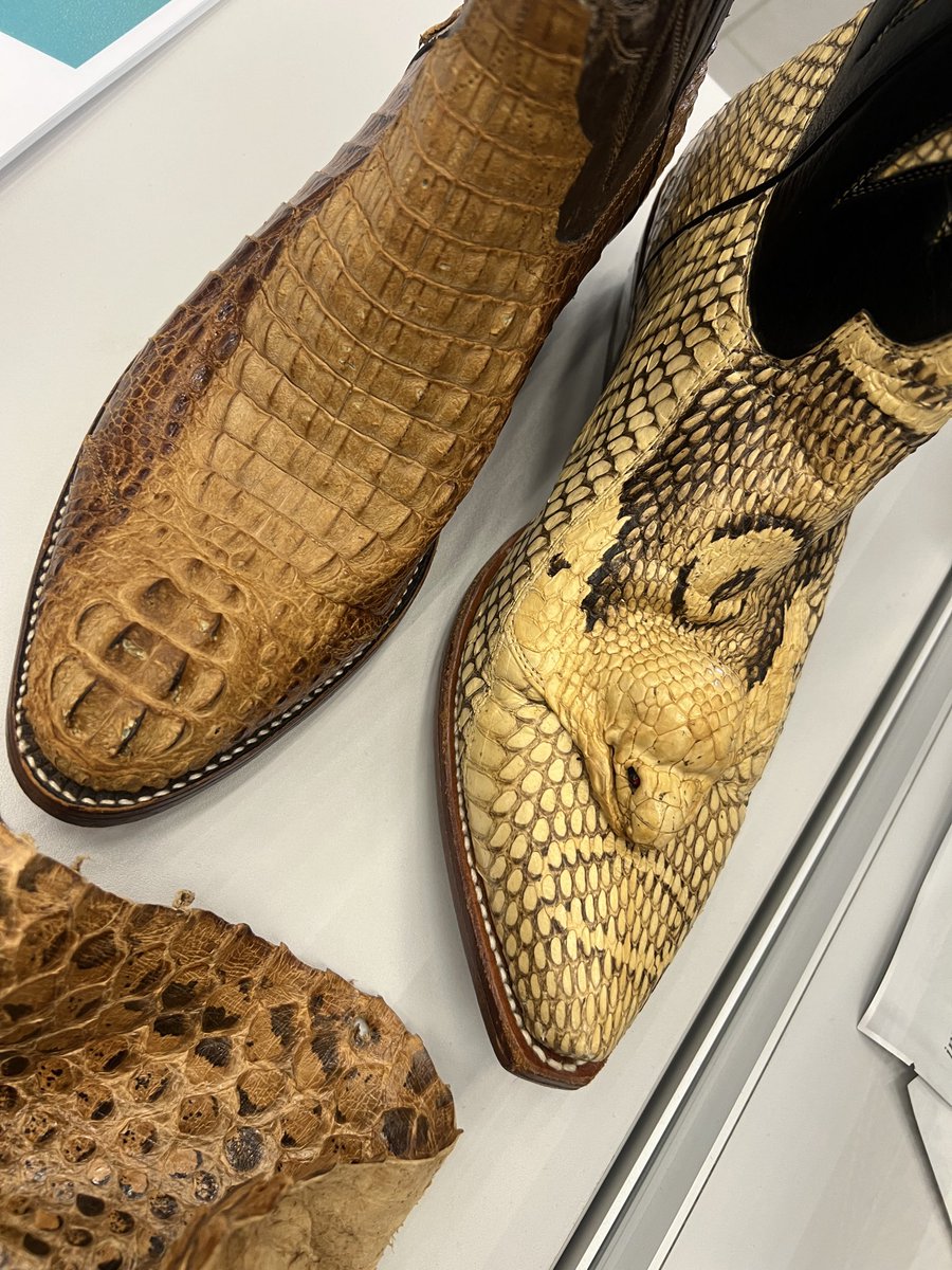 yogesharma92's tweet image. Amsterdam Schiphol Airport has a special desk by the Customs Department displaying real items caught &amp;amp; seized at customs.

If you’re there…stop and take a look. Fascinating! 👀

#Schiphol #Travel #Amsterdam