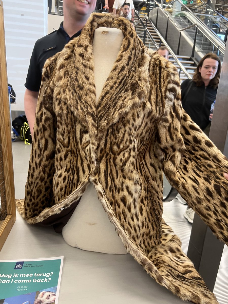 yogesharma92's tweet image. Amsterdam Schiphol Airport has a special desk by the Customs Department displaying real items caught &amp;amp; seized at customs.

If you’re there…stop and take a look. Fascinating! 👀

#Schiphol #Travel #Amsterdam