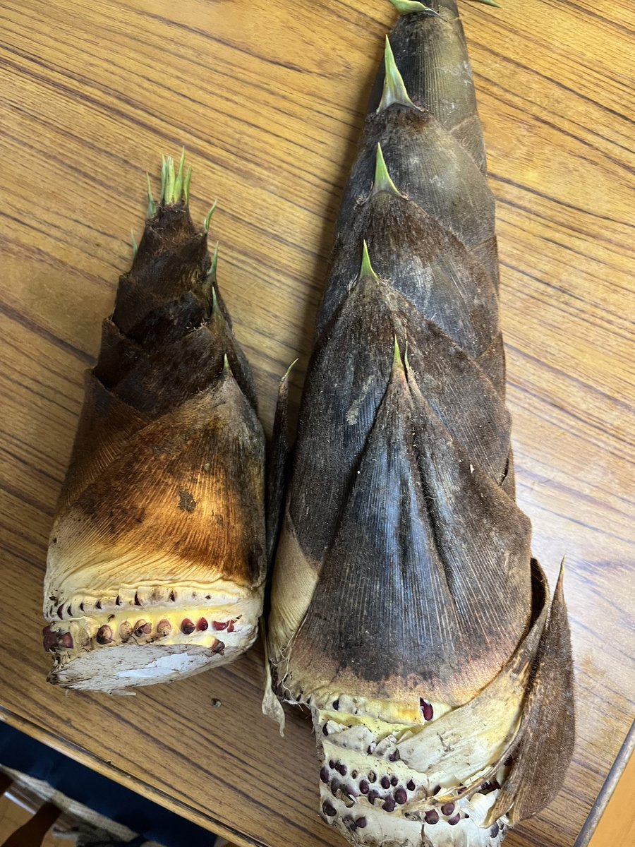 💚 👓 さ と み 💚 👓 tweet media