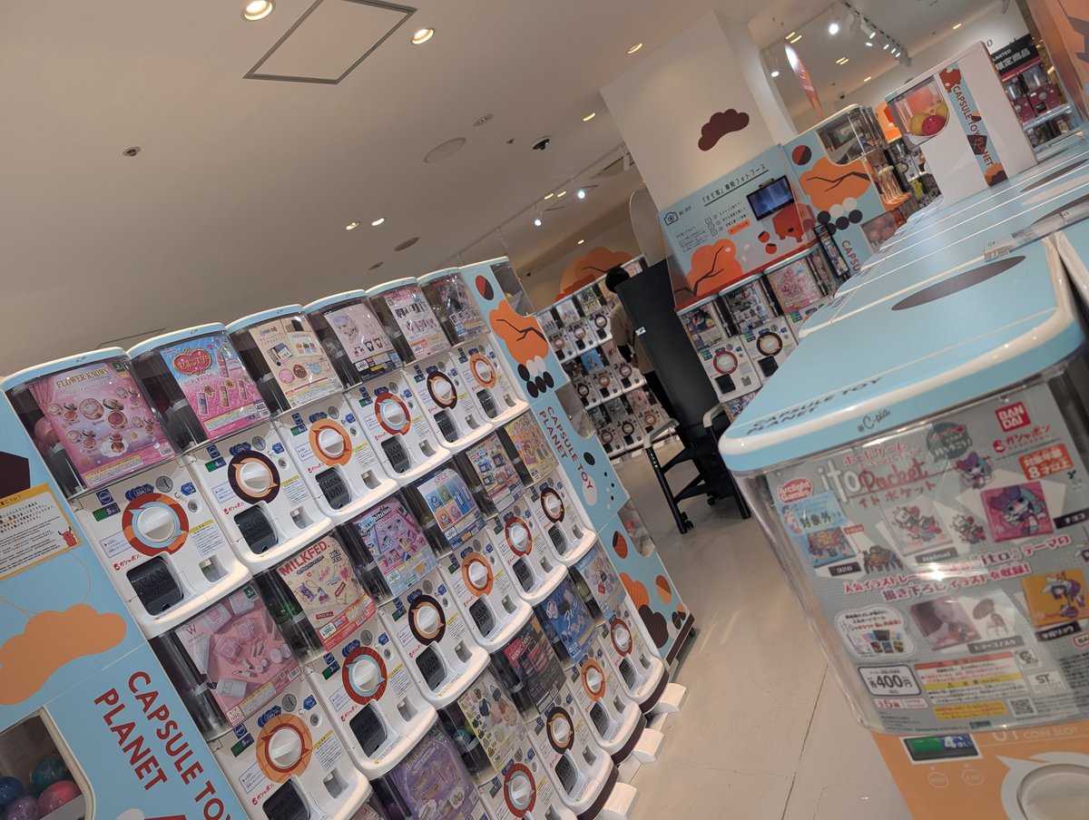 ベル柴♀🔱💚💙💛🐢🐾 tweet media