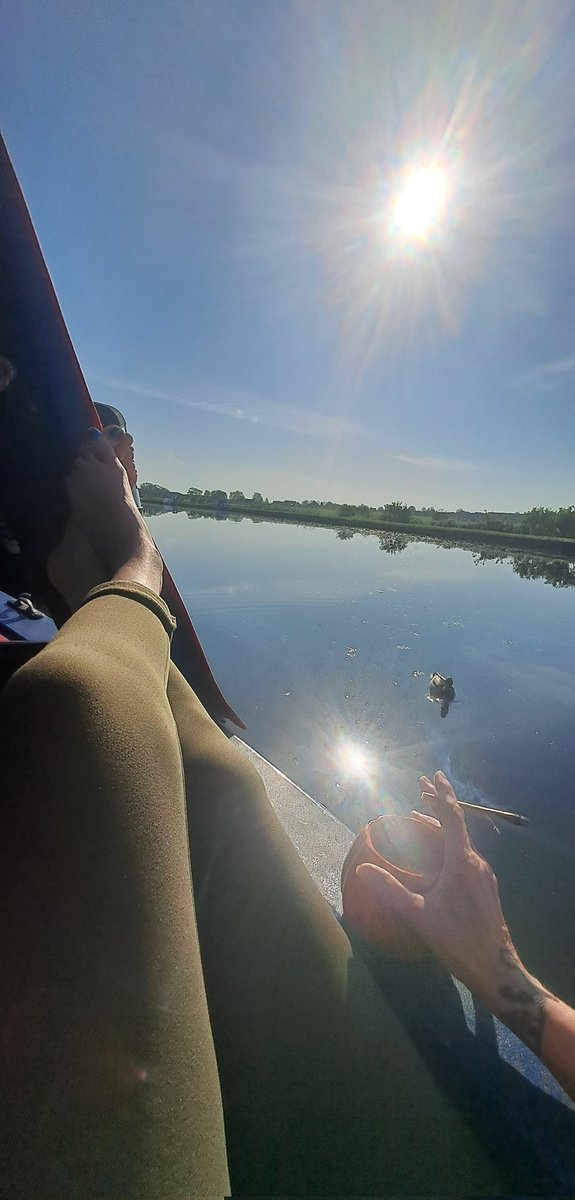 Anne-Marie Denniss tweet media