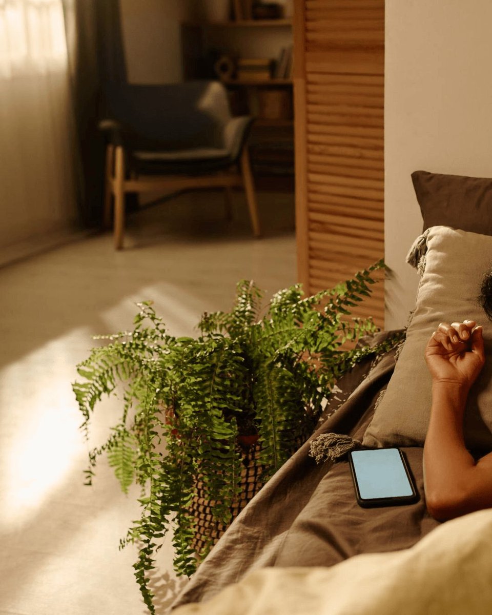 cancer_convo's tweet image. Hey, you! Sleep, stress, nutrition, and movement aren't separate battles. They're parts of one support system helping your body stay balanced during treatment. Focus on them together to build steady, whole-person support alongside your care. #CancerSupport #CancerTreatment