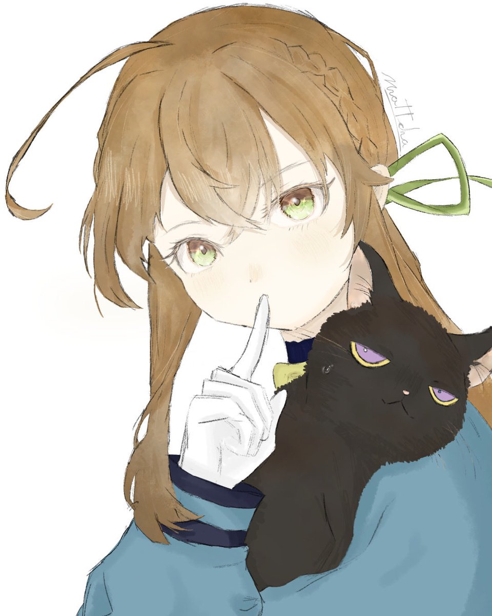 mattcha.720 tweet media