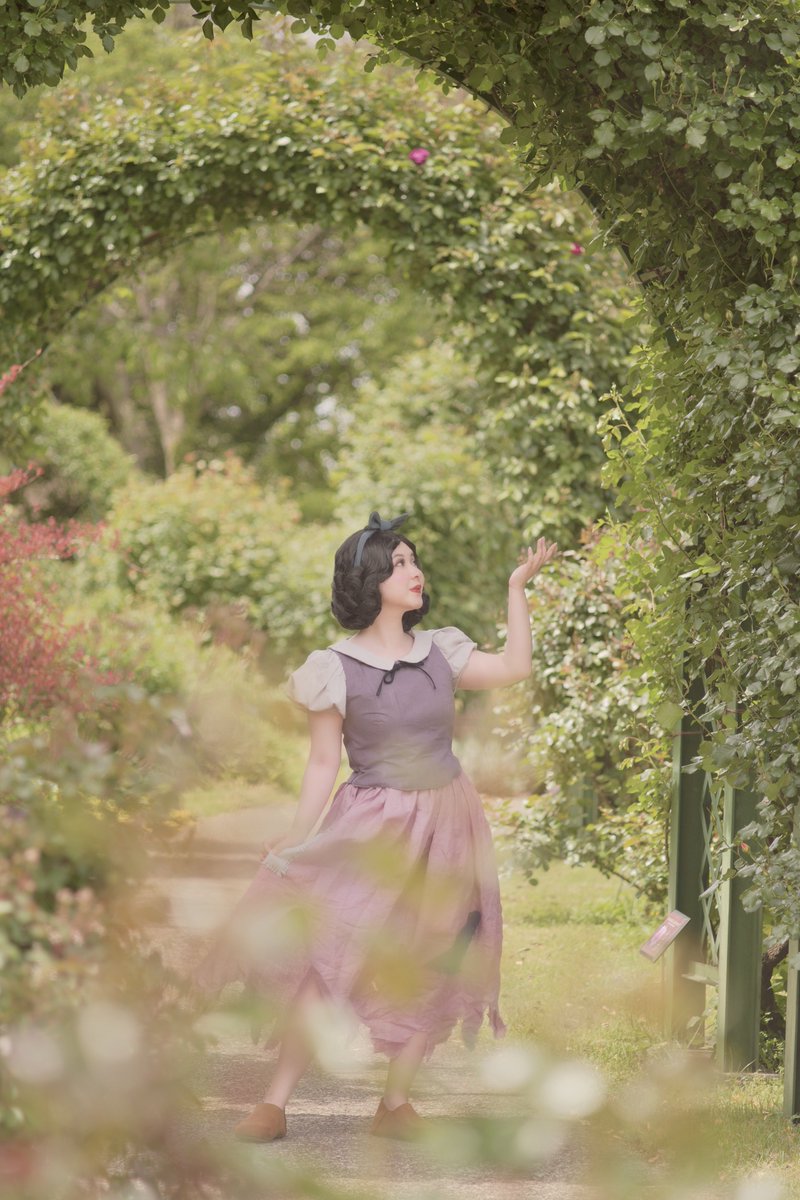 snowwhite🍎
photo▶︎<a href="/k0hane_cos/">こはね໒꒱25バラ園</a> 
#JCF京成バラ園　#JCFコスバラ園