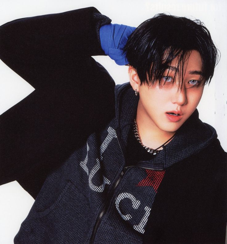 president of changseunglixville mangolover999₊˚✩彡 tweet media