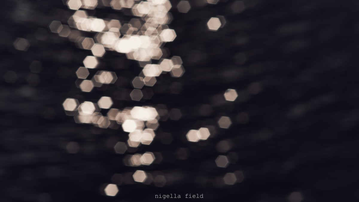 茨 | nigella field tweet media