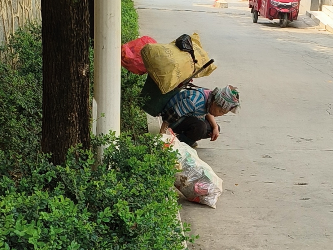 Biao tweet media