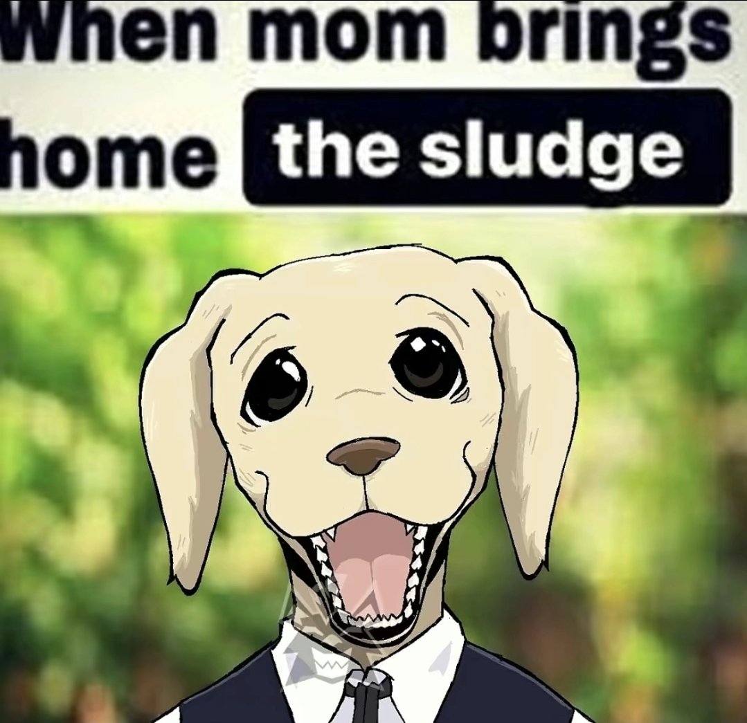 𔒏⭐wet mouse🫧𐔌˙. tweet media