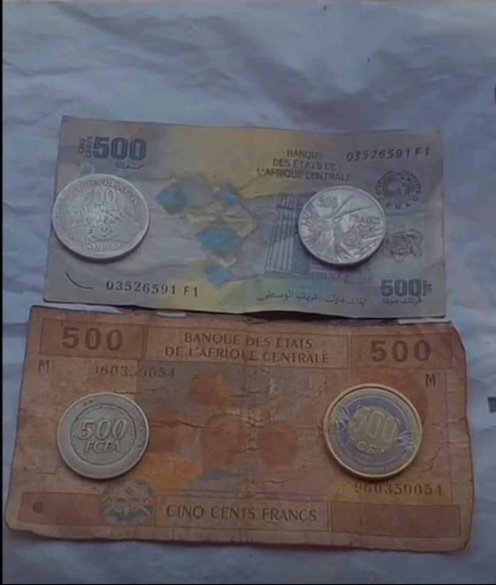 Fri🦋🇨🇲 tweet media