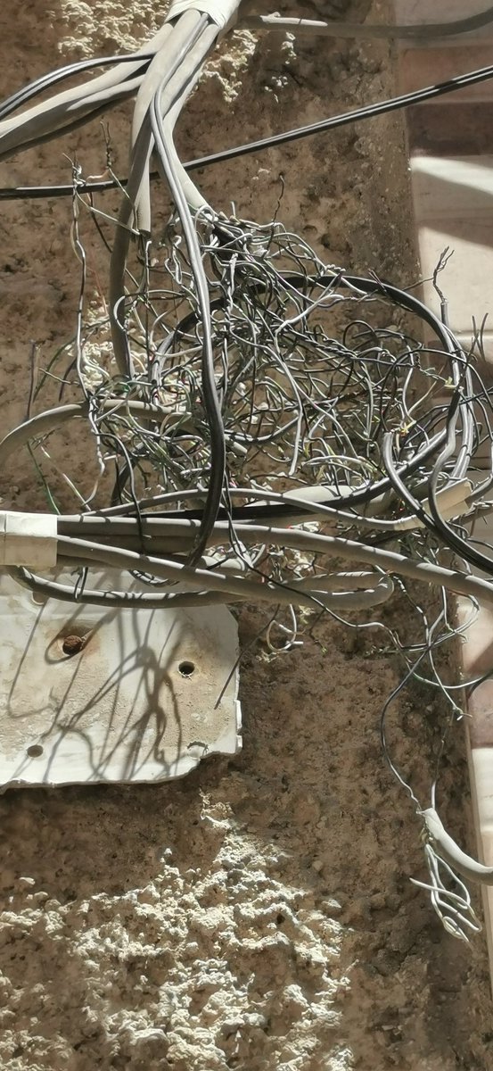 ابو محمد tweet media