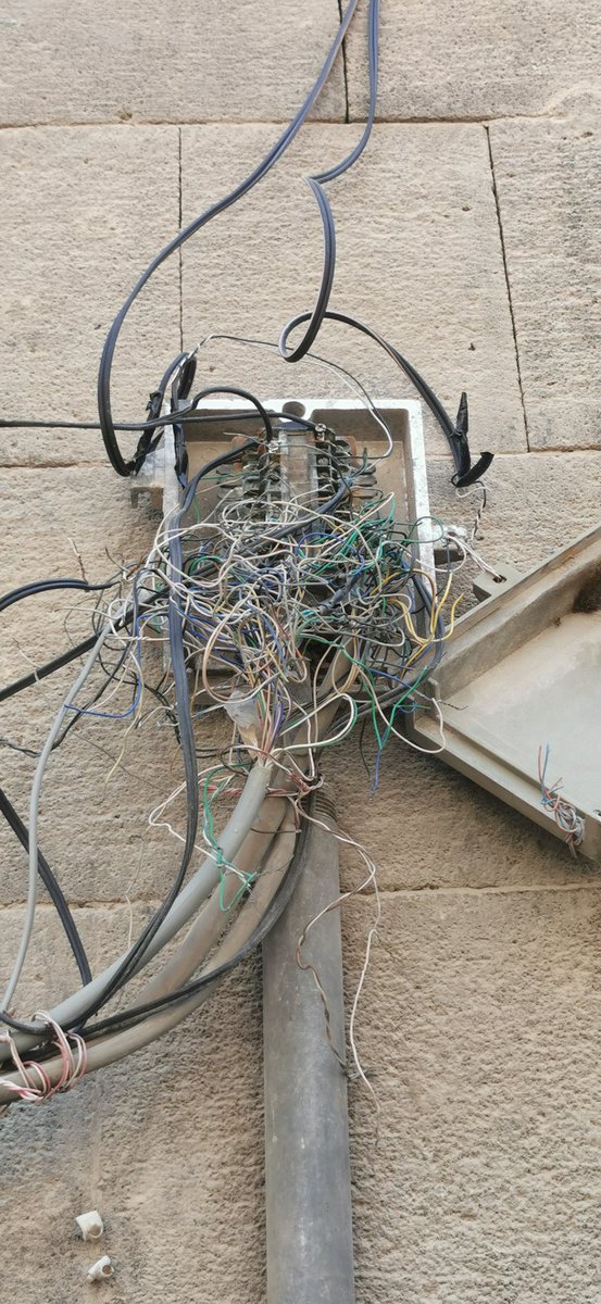 ابو محمد tweet media