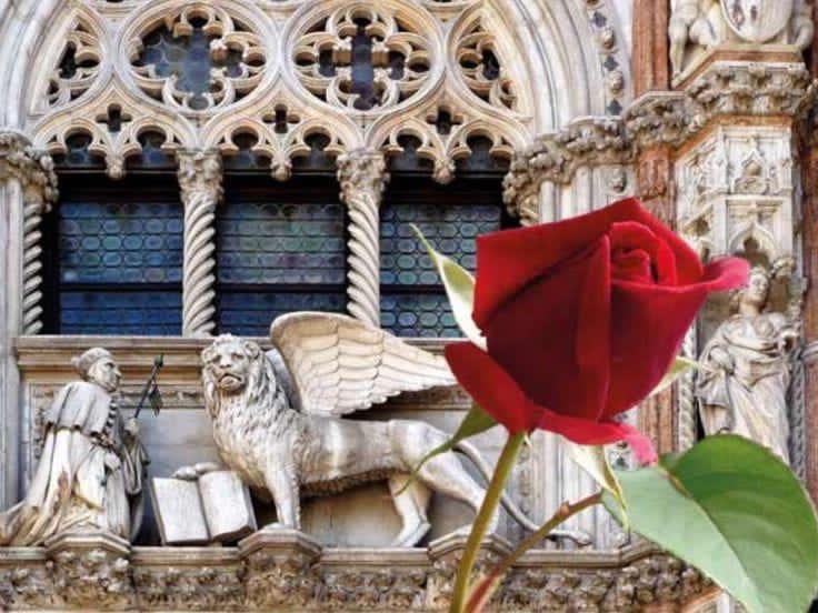 Matteo Castagna tweet media