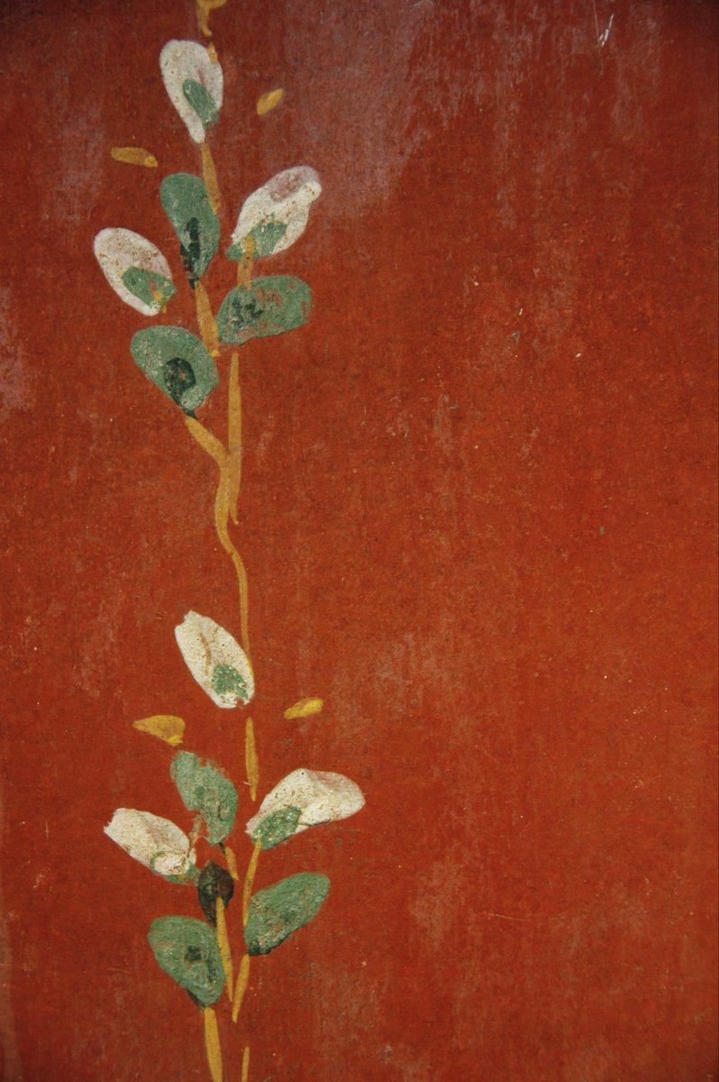 pompei79's tweet image. The colours of Italian liberation spotted in the frescoes of #Pompeii 🇮🇹
Wishing all Italians a very happy #FestaDellaLiberazione