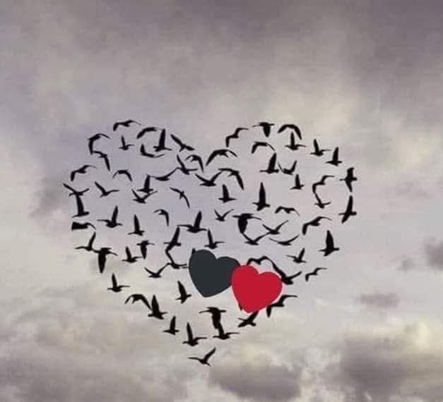 Belki de imtihanın en çetini sevmek ve sevilmektir…

#Gönül gözü ile görenlere selam...
iyilere rast gele..🍀