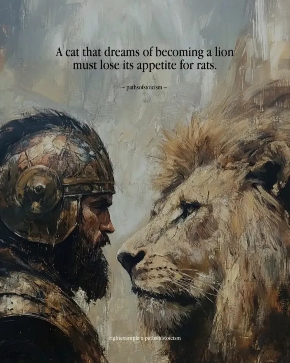 Shra1Dr's tweet image. If you want to become a lion 🦁
you can’t live like a cat ❌

Drop small habits 🚫
Raise your standards 🔥

Sacrifice what’s easy…
for what’s great 💯

#LevelUp #Discipline #Growth #Mindset