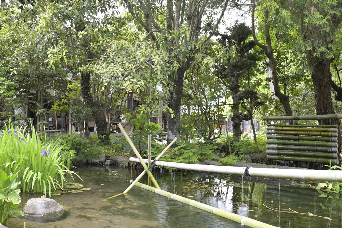 ちぇしゃ tweet media