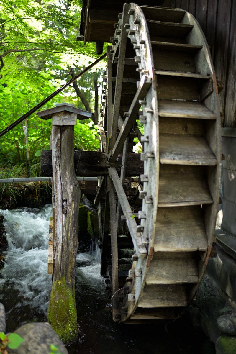 ちぇしゃ tweet media