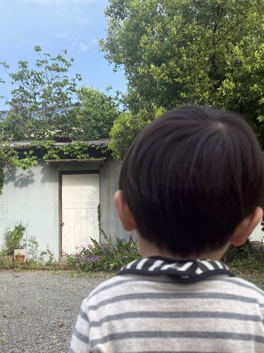 オジン tweet media