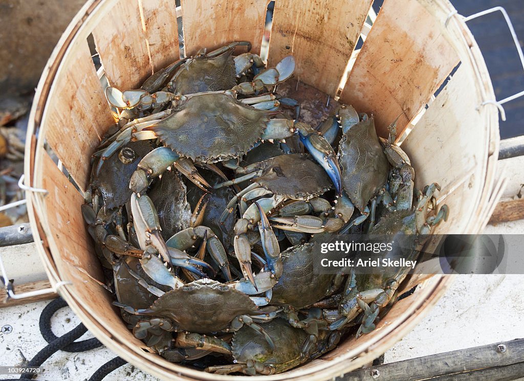 Mr. Walk In This Bitch tweet media