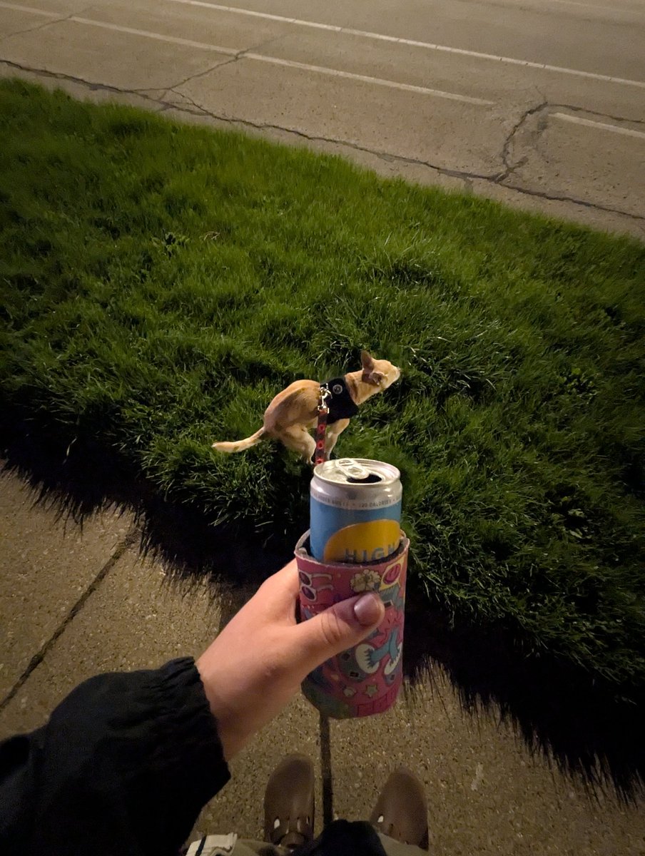 Hairy Harry tweet media