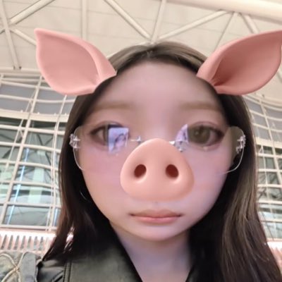 첼 tweet media