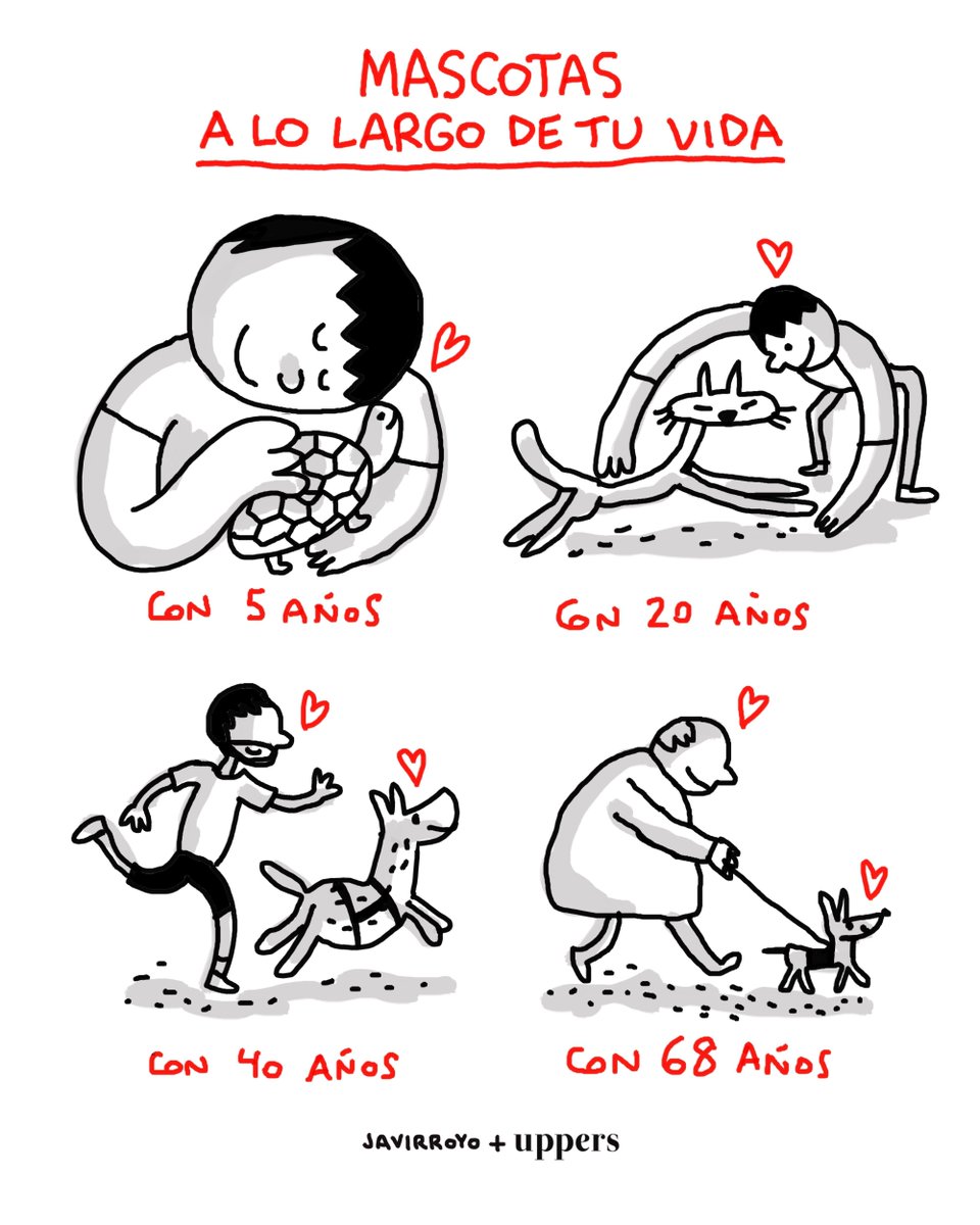 javirroyo's tweet image. Se habla mucho de lo que se acaba pareciendo el perro al humano. Pero no se habla tanto de cómo el animal tampoco es el mismo a lo largo de la vida. ¡Vivan los mini perros a partir de los 60!
.
@upperslife
.
#mascotas #Uppers #SoUpper #javirroyo