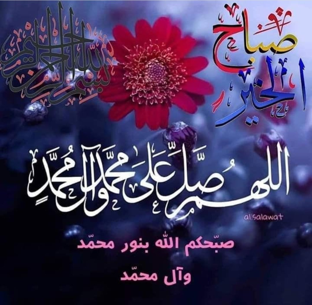 فاطِمَة صدّيقةٌ شهيدةٌ tweet media