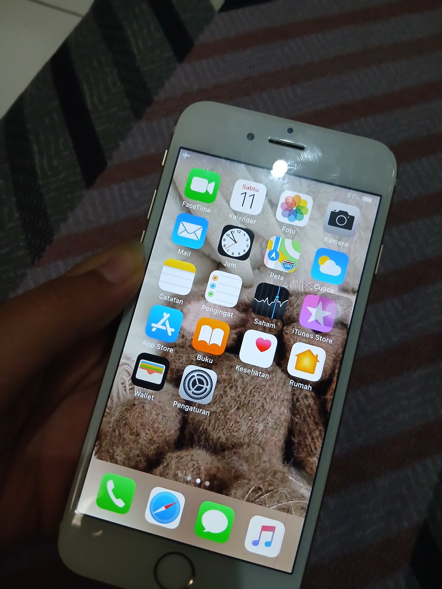 giana, afrim & telestar tweet media