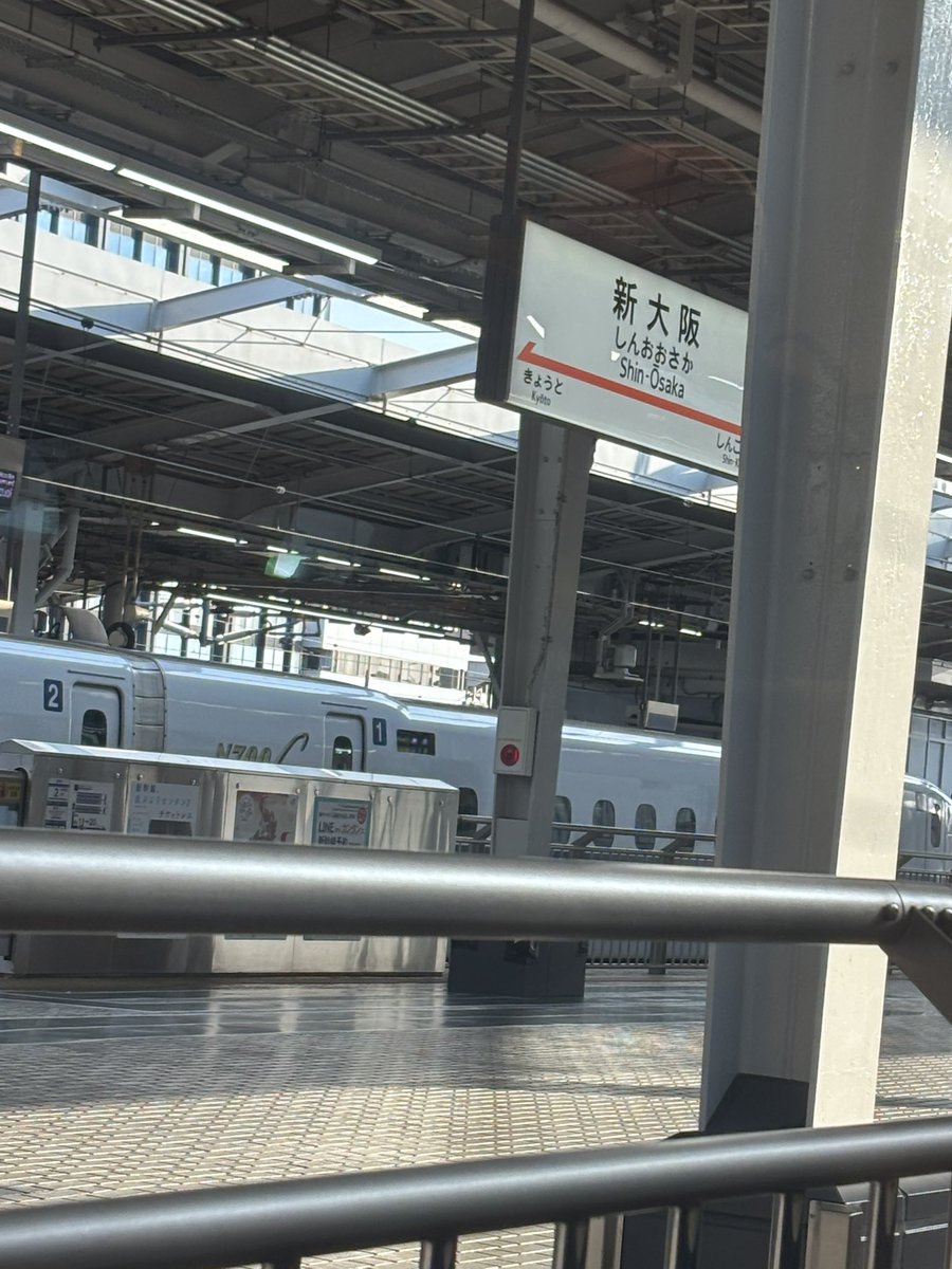 フェル tweet media