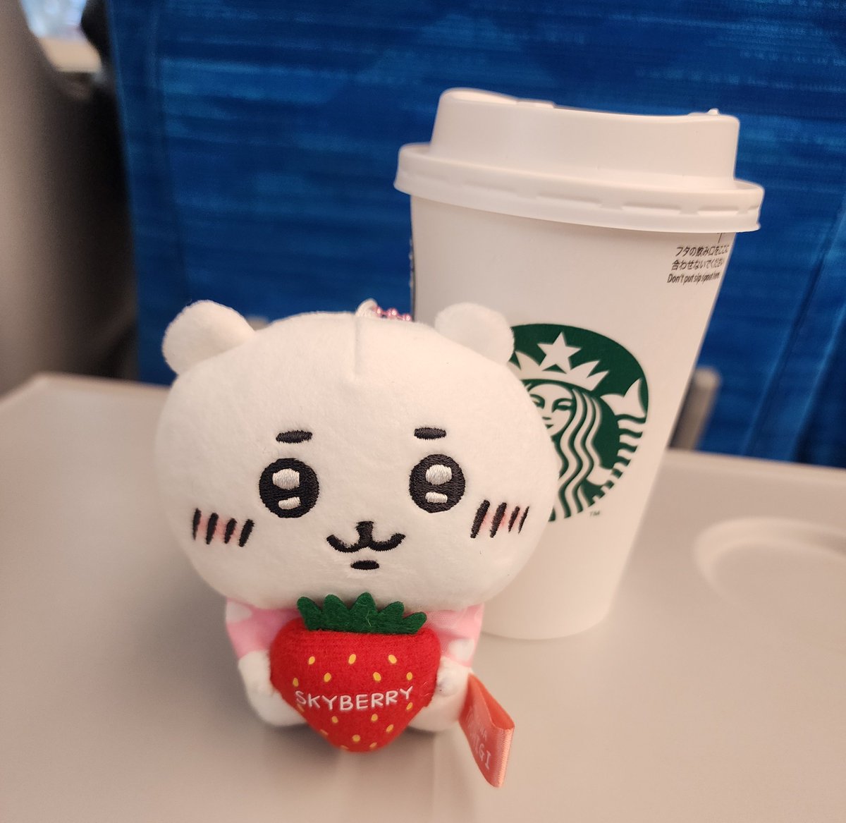 さにゃー🐱(🥔) tweet media